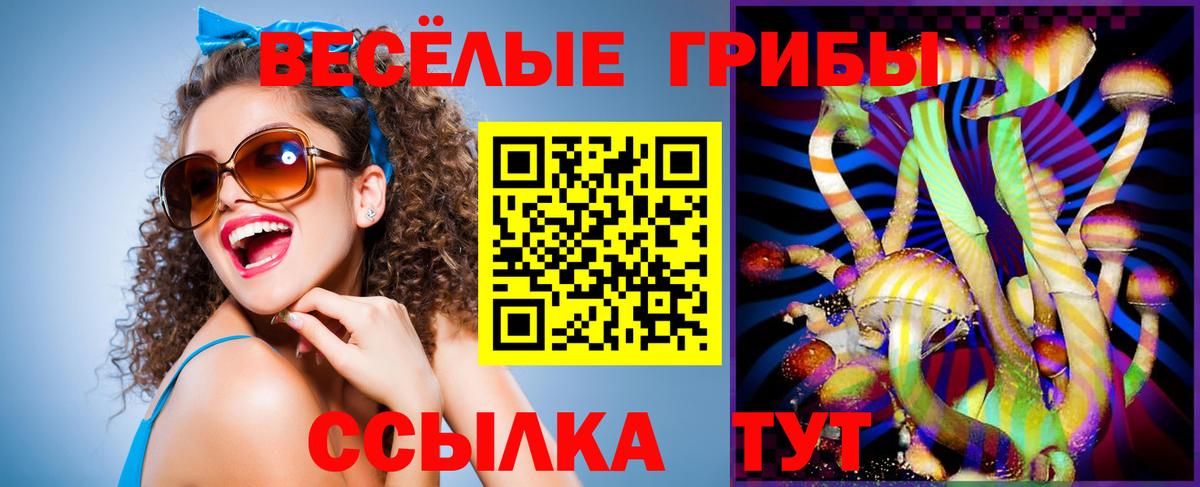 Галлюциногенные грибы Psilocybe  Псилоцибиновые грибы мицелий  Вход с VPN  Алушта 